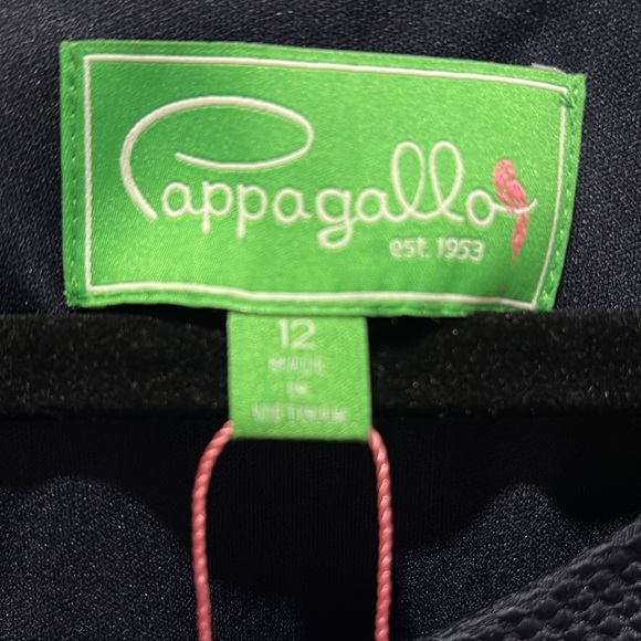 Pappagallo Blue and White Midi Dress - Picture 4 of 10